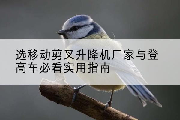 荣昌区电动升降机厂家-选移动剪叉升降机厂家与登高车必看实用指南