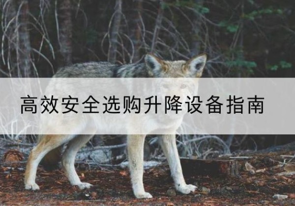荣昌区升降货梯厂家推荐-*安全选购升降设备指南